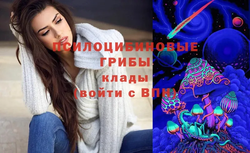 Галлюциногенные грибы Psilocybine cubensis  Жуковка 